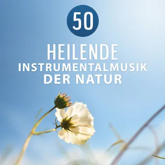 50 Heilende Instrumentalmusik der Natur: Tiefenentspannung und Autogenes Training mit Entspannungsmusik zum Meditation und Yoga, Stress Reduzierung Übung by Einschlafen Akademie