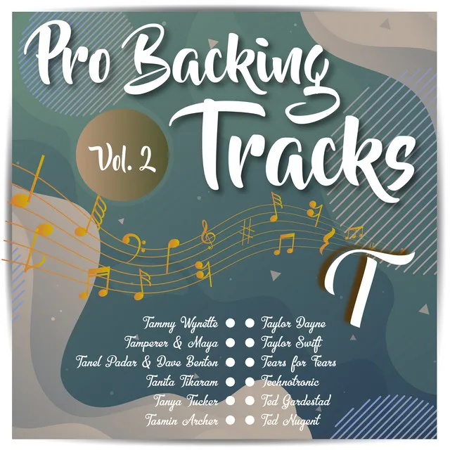 Pro Backing Tracks T, Vol.2