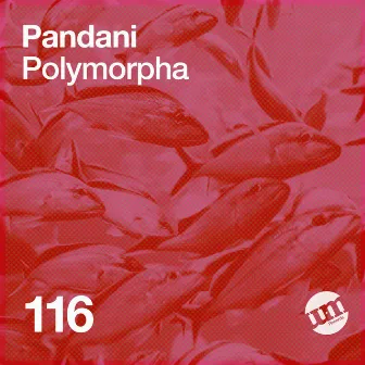 Polymorpha by Pandani