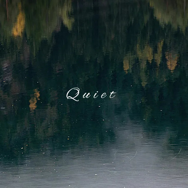 QUIET - Acoustic