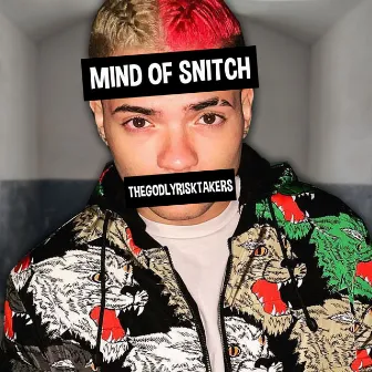 Mind of Snitch by TheGodlyRiskTakers