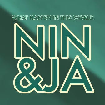 What Happen In This World by Nin & Ja