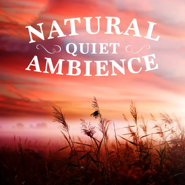 Natural Quiet Ambience