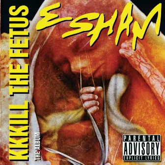 KKKill The Fetus by Esham