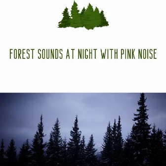 Forest Sounds at Night with Pink Noise, Loopable by Forest at Night Sounds