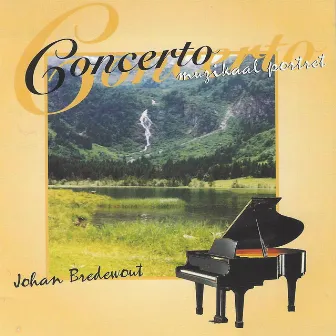 Concerto by Johan Bredewout