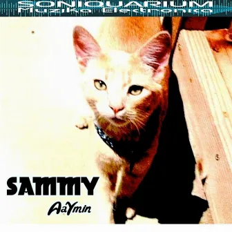 Sammy by AaYmin