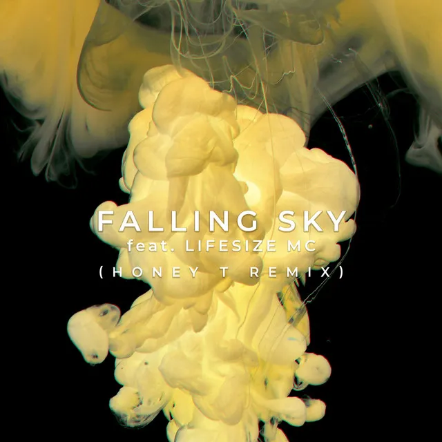 Falling Sky feat. Lifesize MC - Honey T Remix