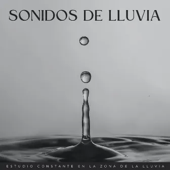 Sonidos De Lluvia: Estudio Constante En La Zona De La Lluvia by 