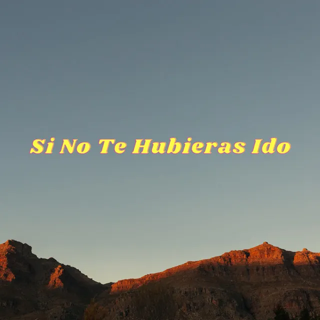 Si No Te Hubieras Ido (Cover)