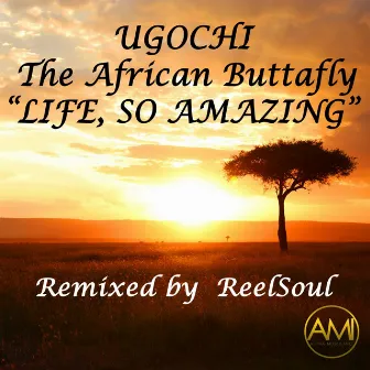 Life, So Amazing (ReelSoul Remix) by Ugochi