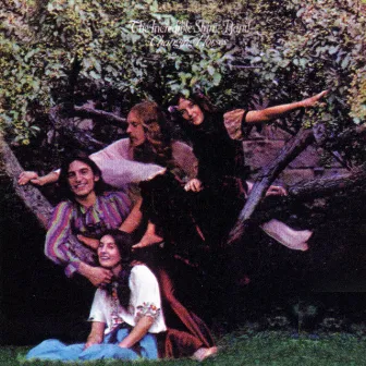 Changing Horses by The Incredible String Band