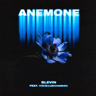 Anemone by Slevin