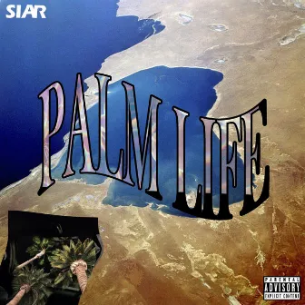 Palmlife by Siar