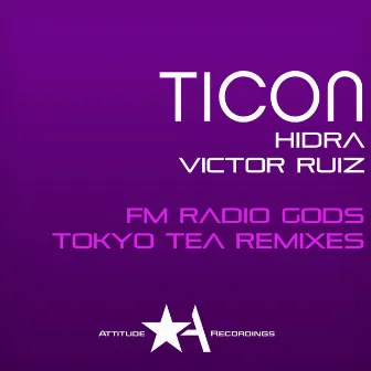 Tokyo Tea (Remixes) by FM Radio Gods