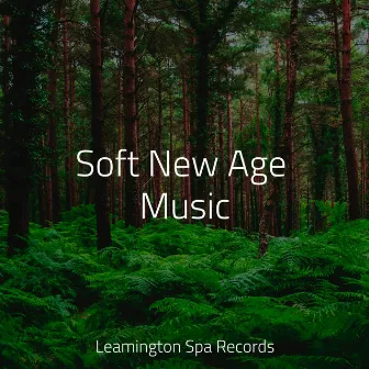 Soft New Age Music by Loopable Sounds for Babies