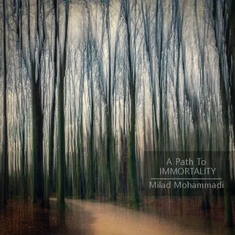 A path to Immortality by Milad Mohammadi