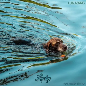 Lucky by Luis Assing