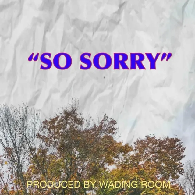 So Sorry