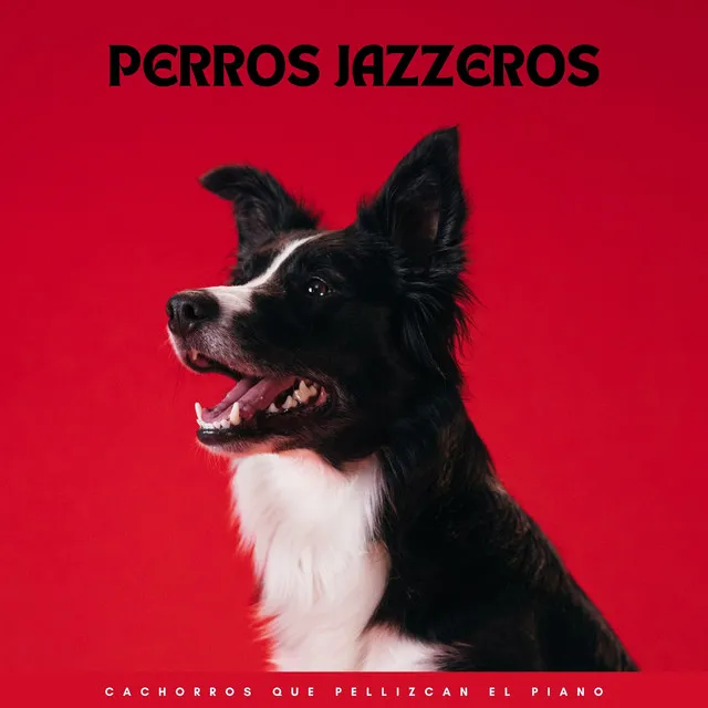 Perros Jazzeros: Cachorros Que Pellizcan El Piano