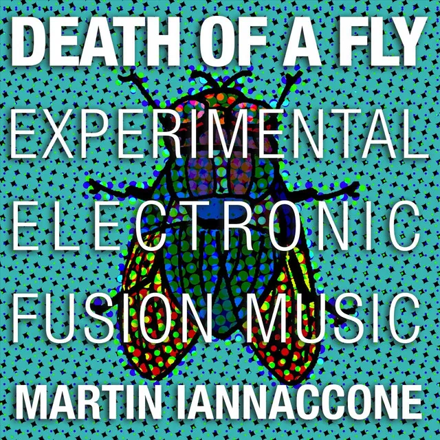 Death of a Fly: Experimental Electronic Fusion Music