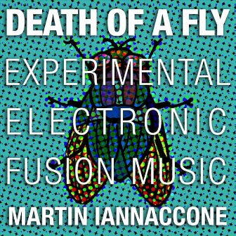 Death of a Fly: Experimental Electronic Fusion Music by Martin Iannaccone