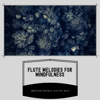 Flute Melodies for Mindfulness: Nature Soundscapes for Meditation by Meditation Drums & Shamanic Music