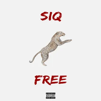 Siqfree by Siquieri