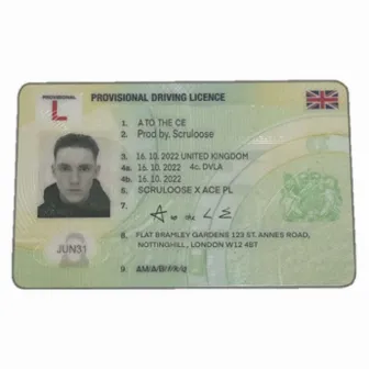 Provisional License by AtotheCE