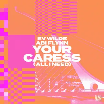 Your Caress (All I Need) by Ev Wilde