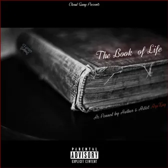 Book of Life, Vol. 1 by AyeKay!