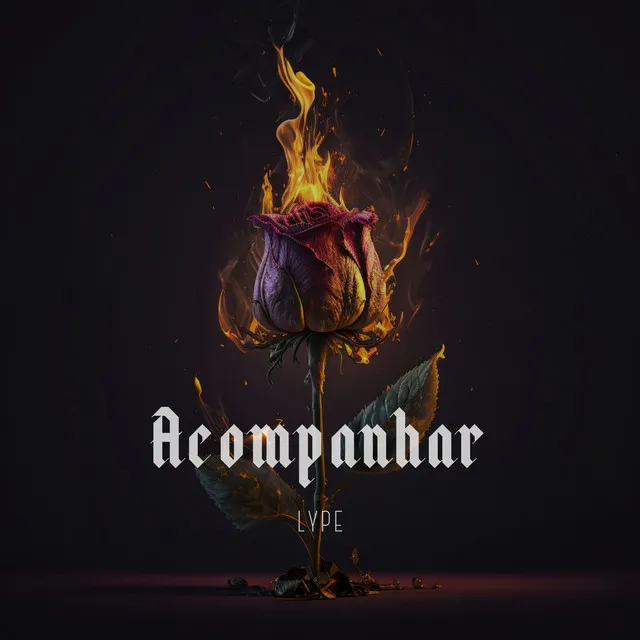 Acompanhar