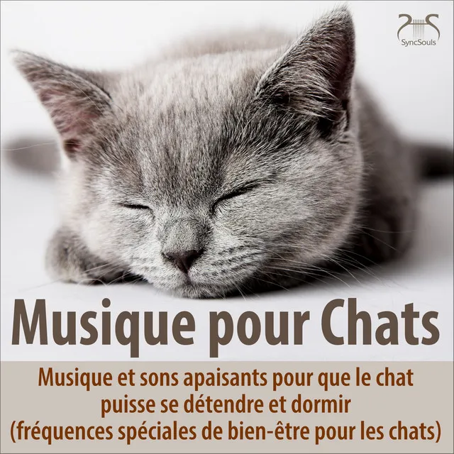 Rêver dans le jardin : mon chat et moi nous détendons au son de la nature et d'une musique de rêve - pas de basses fréquences