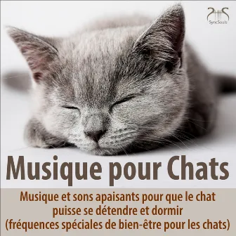 Musique pour chats - Musique et sons apaisants pour que le chat puisse se détendre et dormir (fréquences spéciales de bien-être pour les chats) by Musique pour chats TA