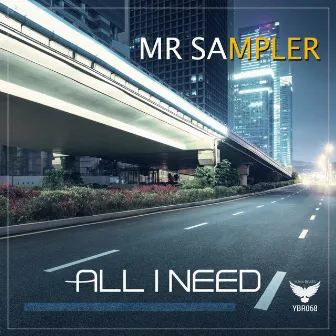 All I Need by Mr Sampler