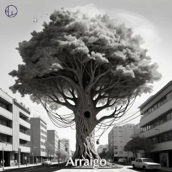 Arraigo by Oli