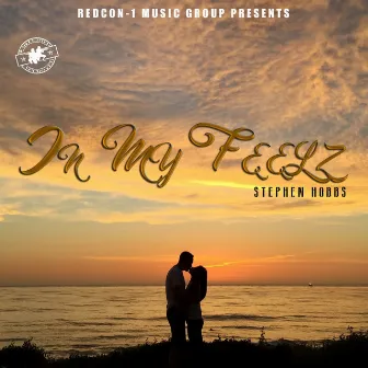 In My Feelz by Stephen Hobbs