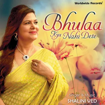 Bhulaa Kyu Nahi Dete by Shalini Ved