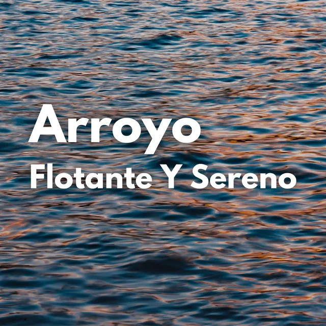 Arroyo Flotante Y Sereno