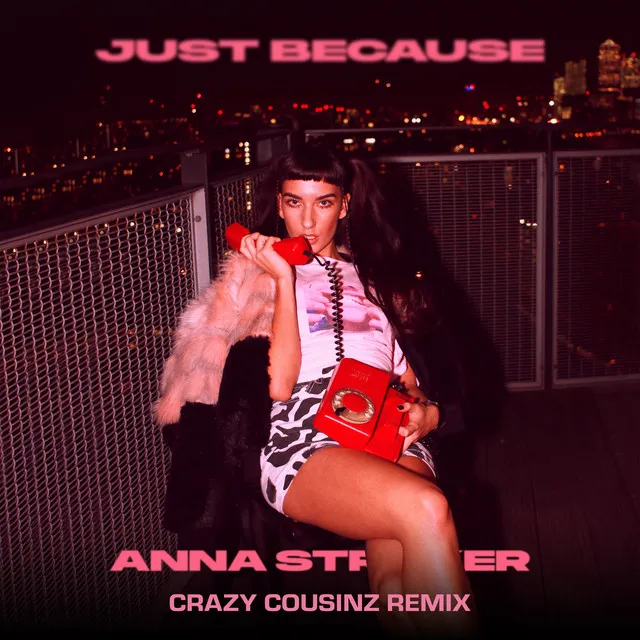 Just Because (Crazy Cousinz Remix)