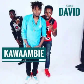 Kawaambie by Camp David