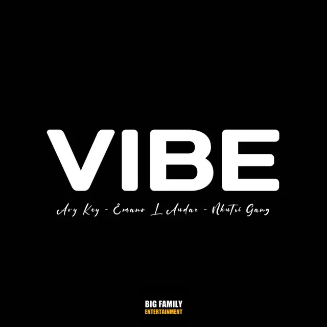 Vibe 2