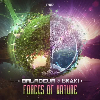 Forces of Nature by Baladeva