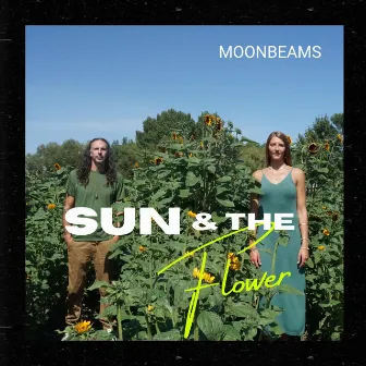 Sun and the Flower by Moonbeams