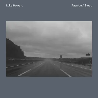 Passion / Sleep by Budapest Art Orchestra