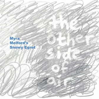 The Other Side of Air by Myra Melford's Snowy Egret