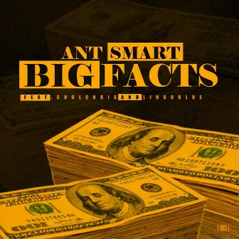 Big Facts by Ant Smart