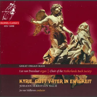 Bach: Kyrie, Gott Vater in Ewigkeit by Leo Van Doeselaar