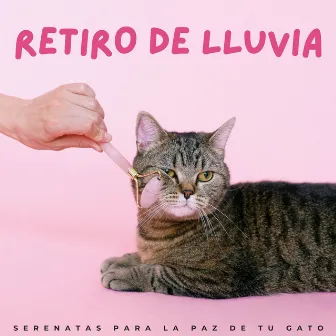 Retiro De Lluvia: Serenatas Para La Paz De Tu Gato by Ritmos de hip-hop de Lofi