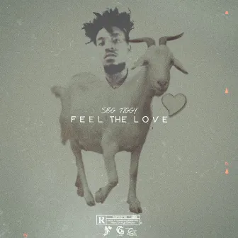 Feel the Love by Sbg Tiggy